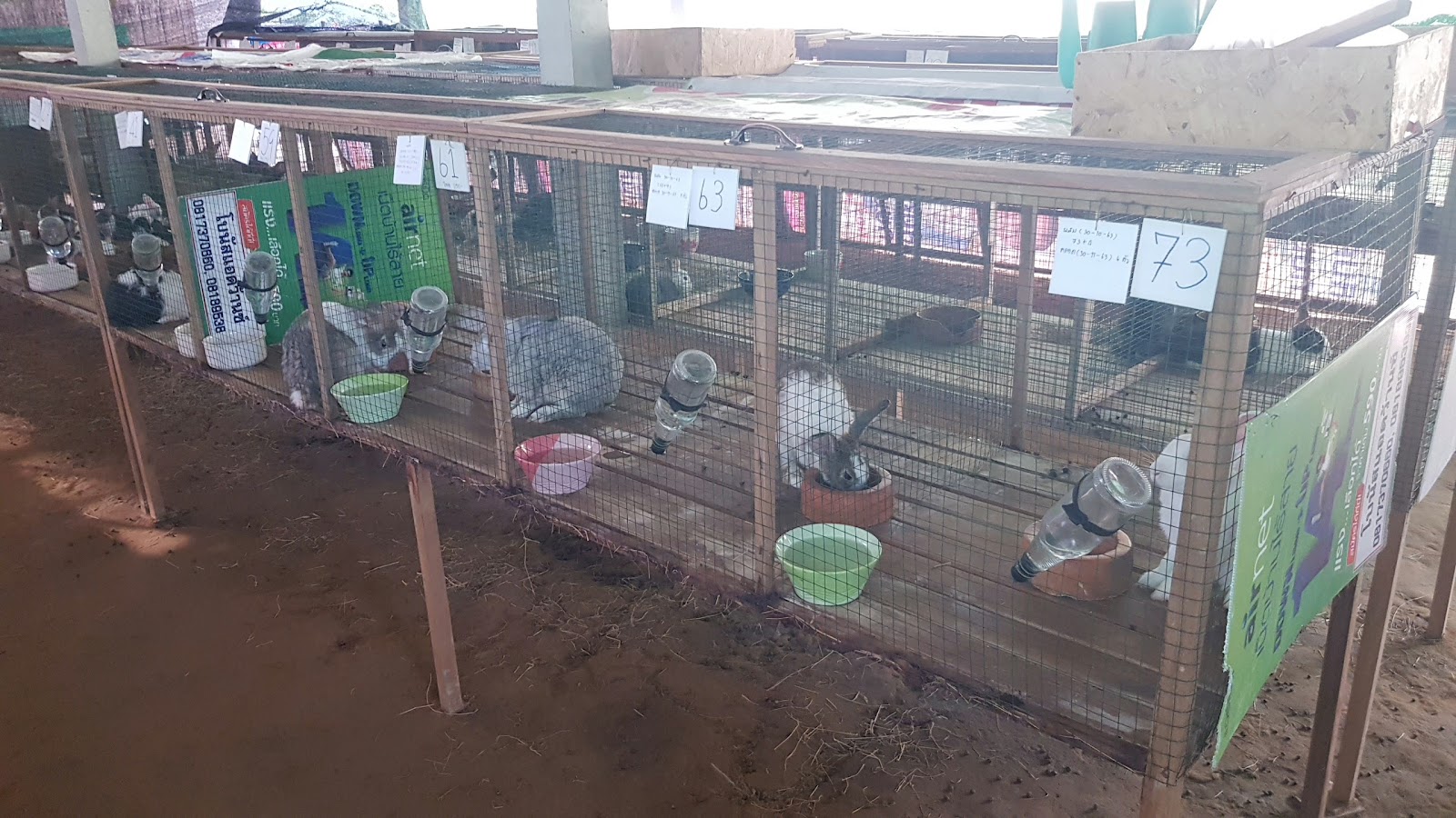 Rabbit farm, house in the mountains