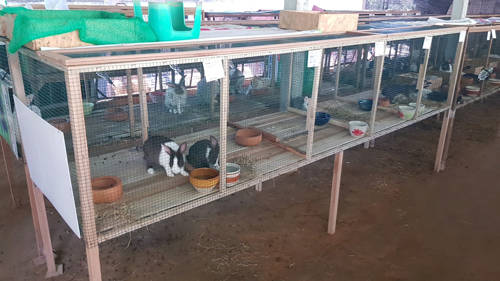 Rabbit farm, house in the mountains
