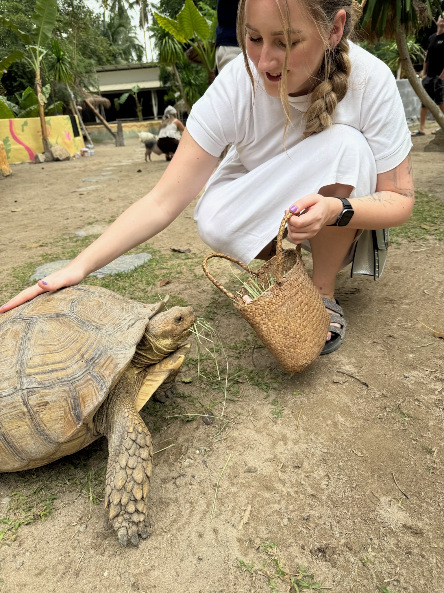 Samui exotic park
