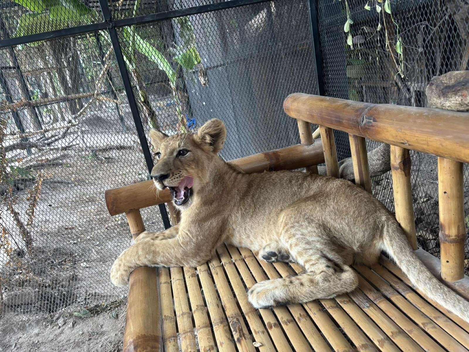Samui exotic park